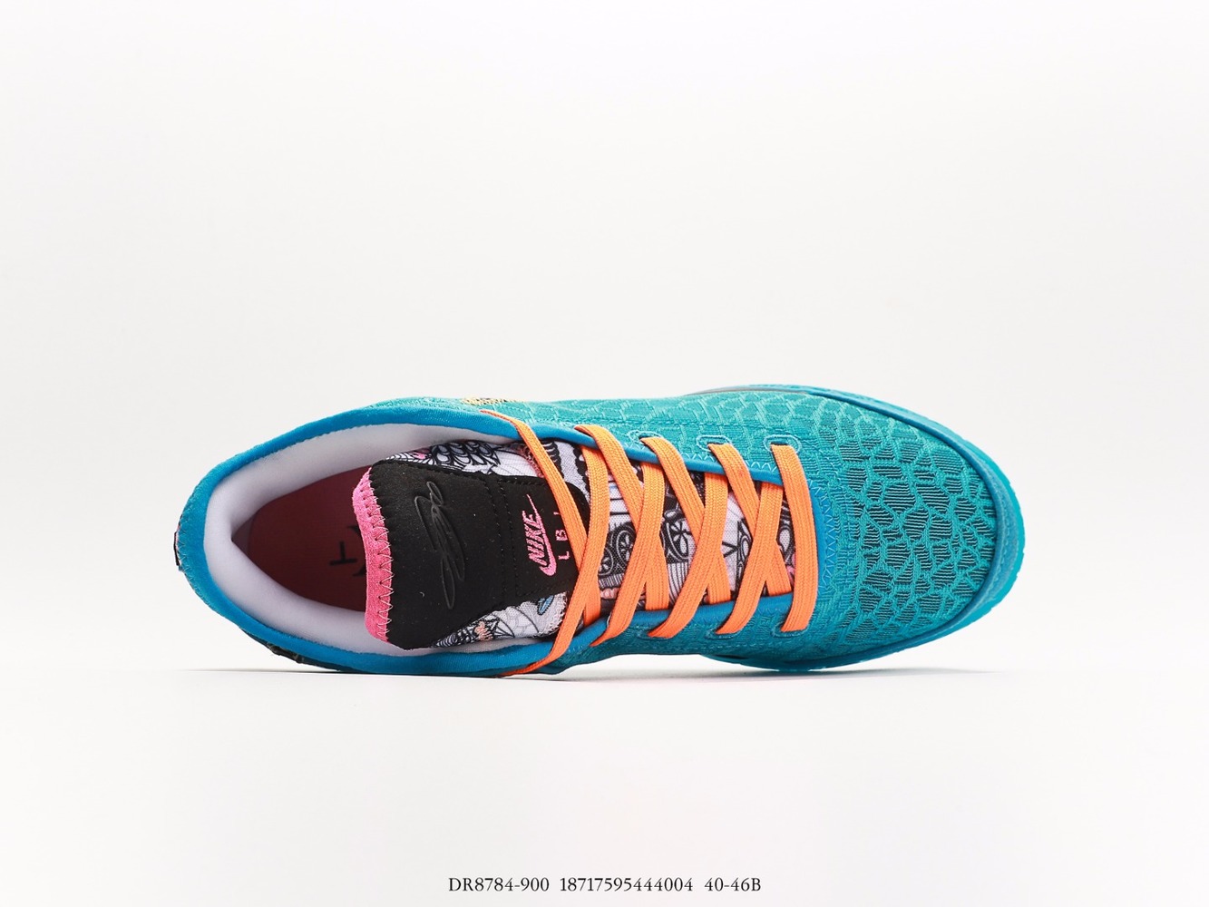 Nike Zoom LeBron NXXT Gen I Promise_DR8784-900